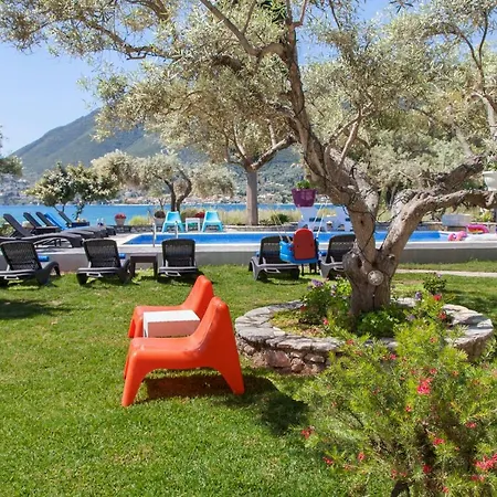 Agni 4* 尼基亚娜